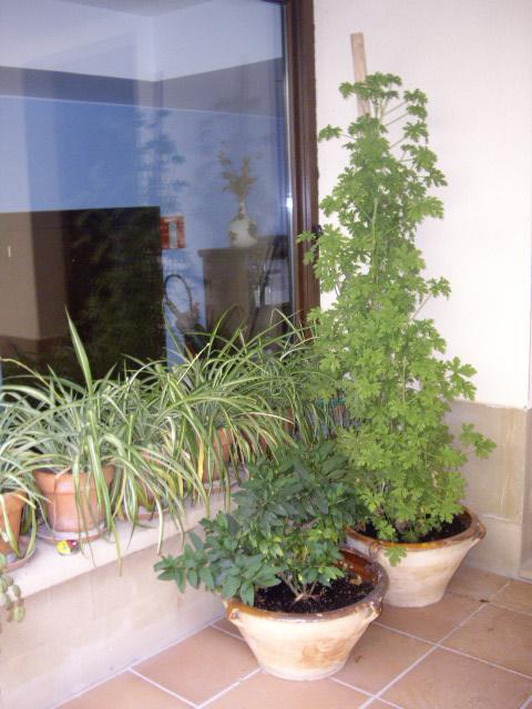 Casa Rural Rojanda Elciego Bagian luar foto